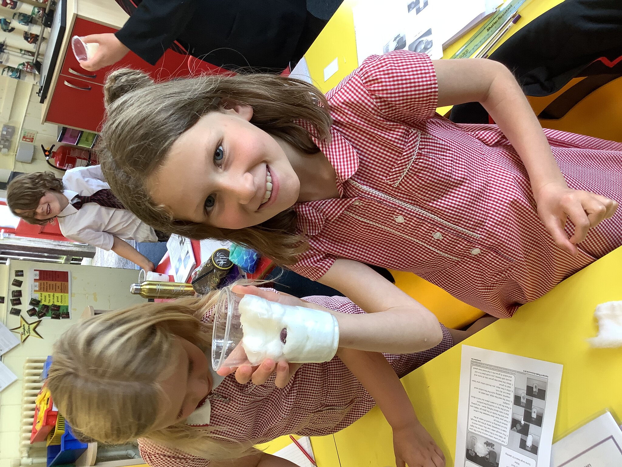 Image of Investigating root growth in Science