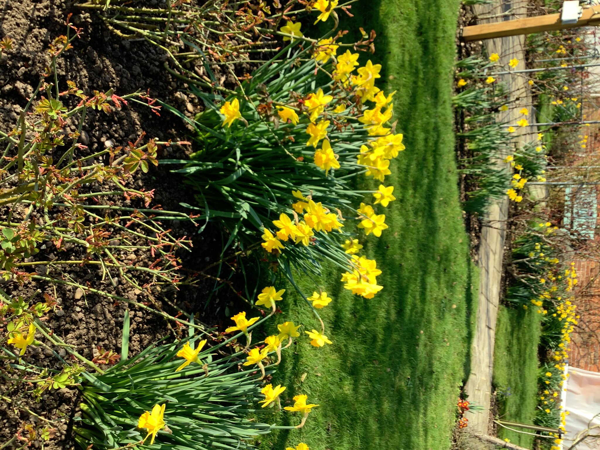 Image of What changes can be observed during Spring?