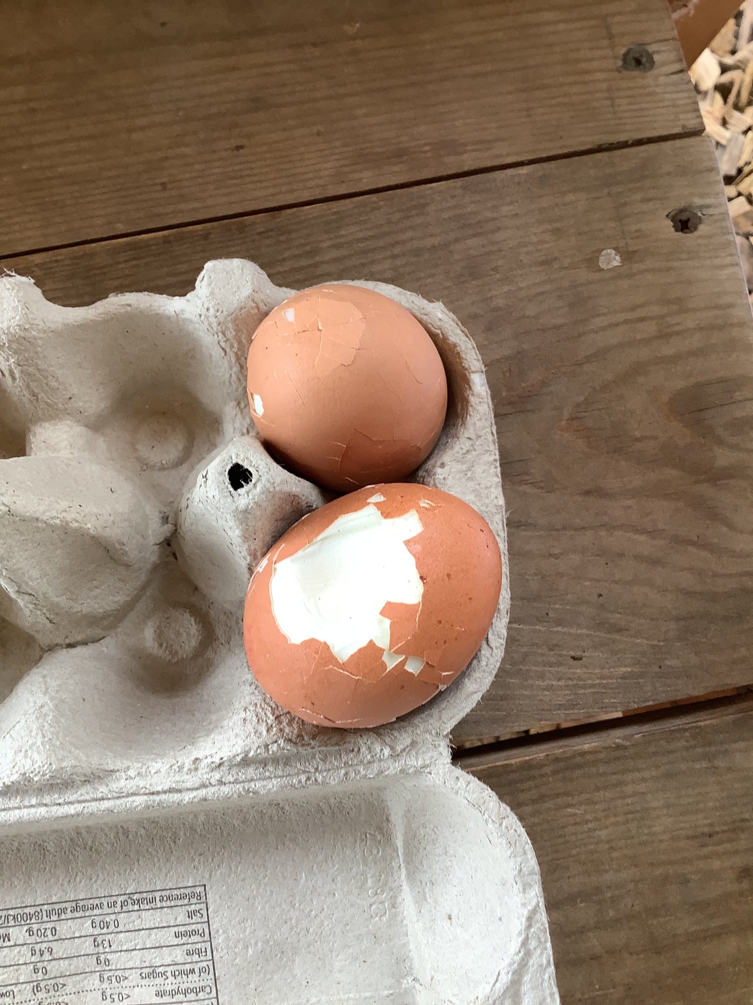 Image of Egg-citing investigations