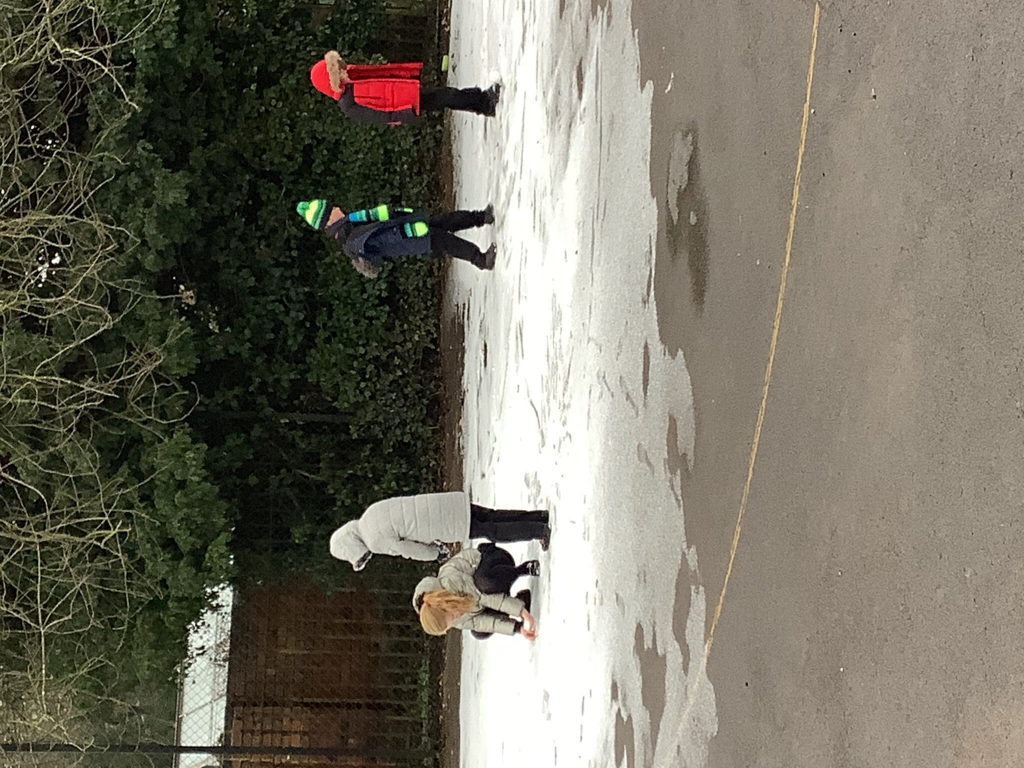 Image of Fun in the snow