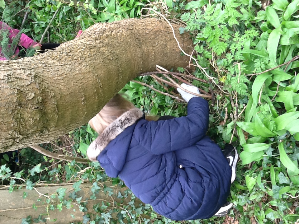 Image of Forest School