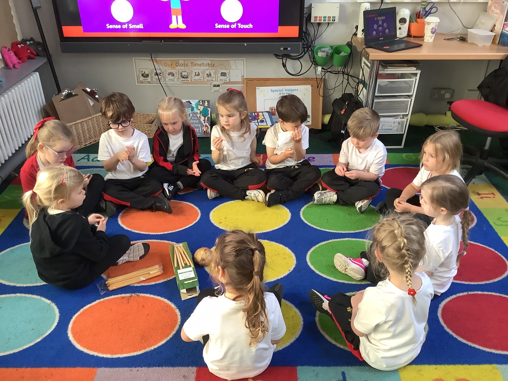 Image of Our super senses 
