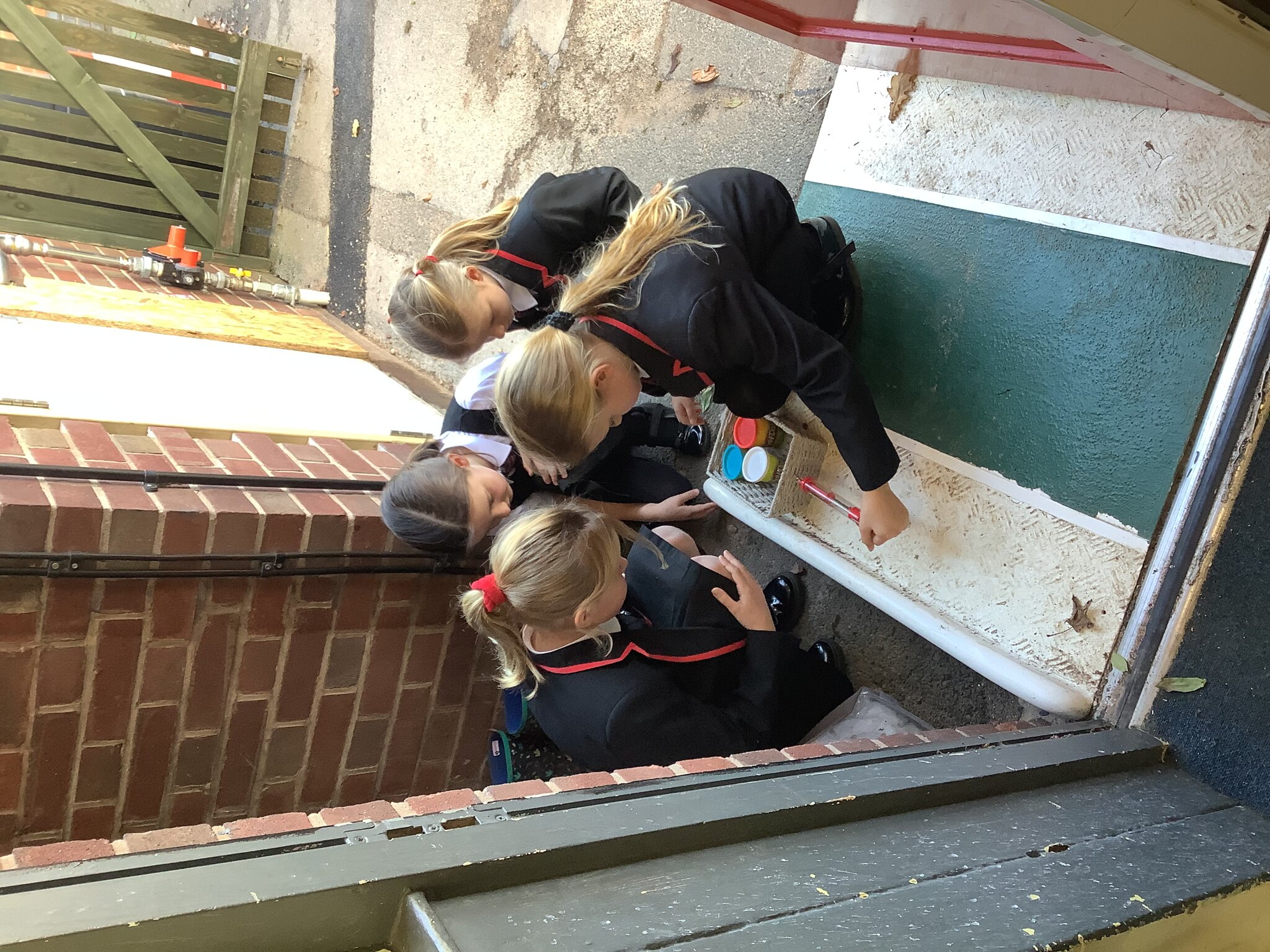 Image of Forces and magnets