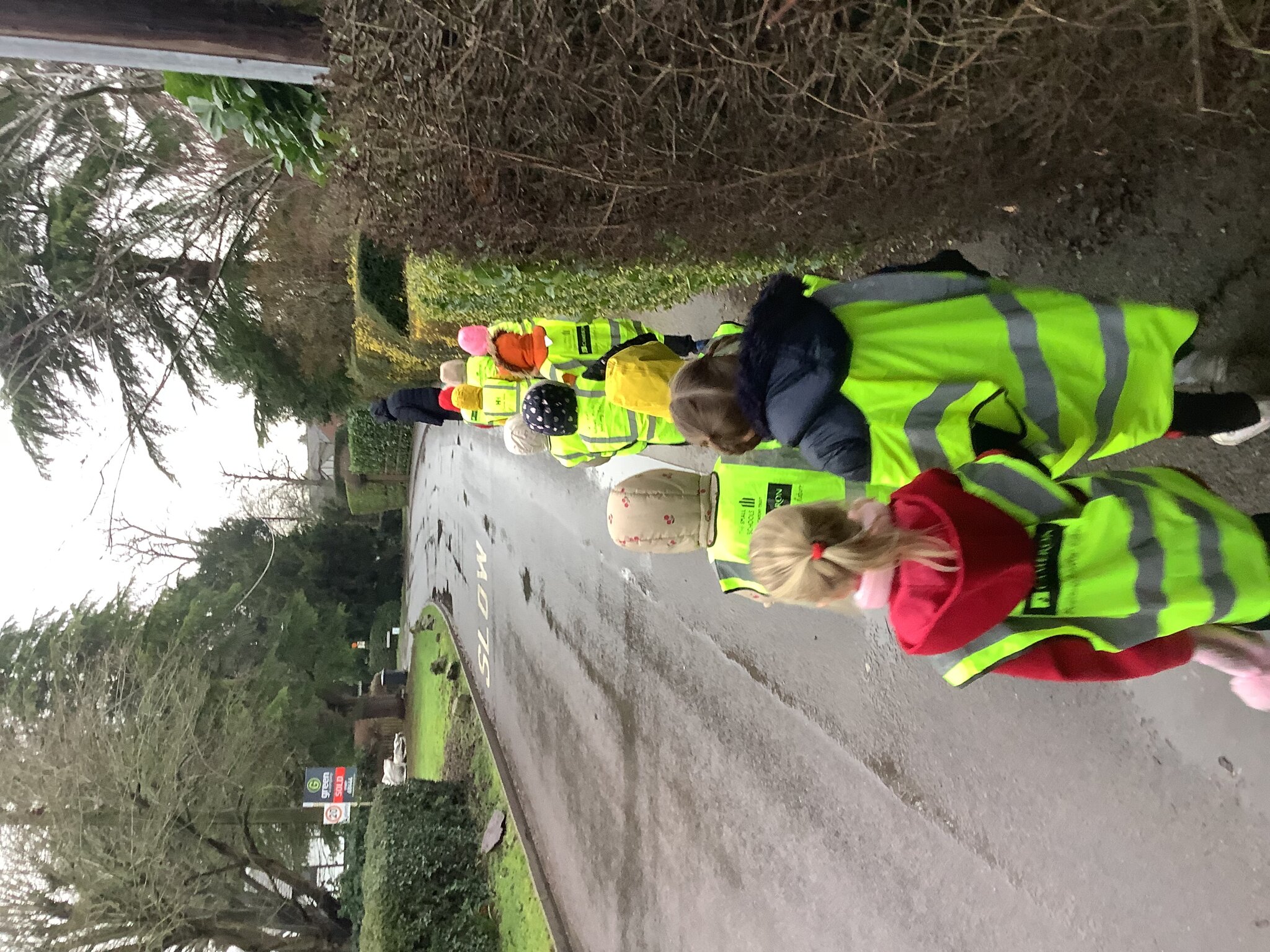 Image of Pig the pug goes for a walk with Class 1