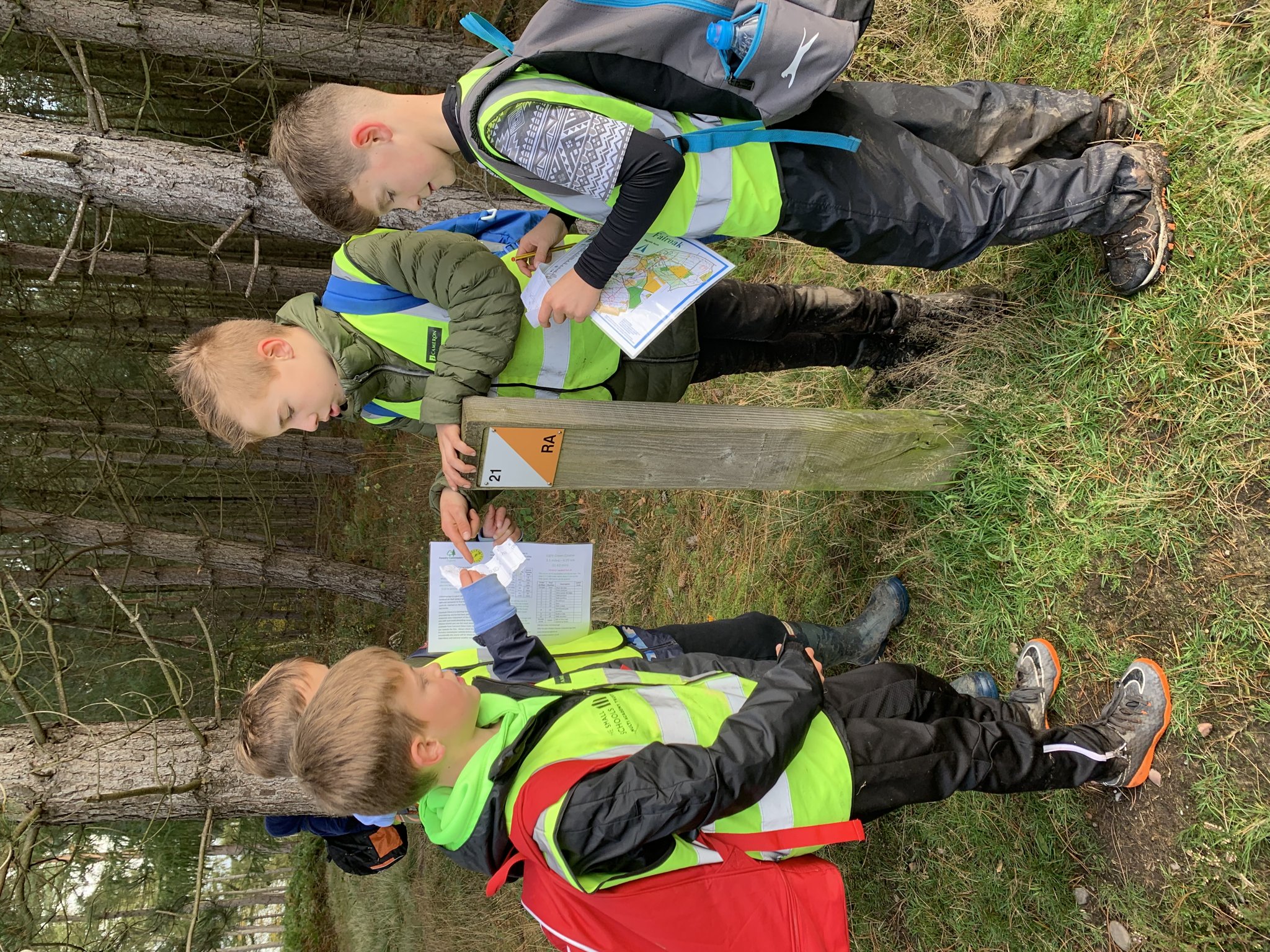 Image of Orienteering at Cannock Chase