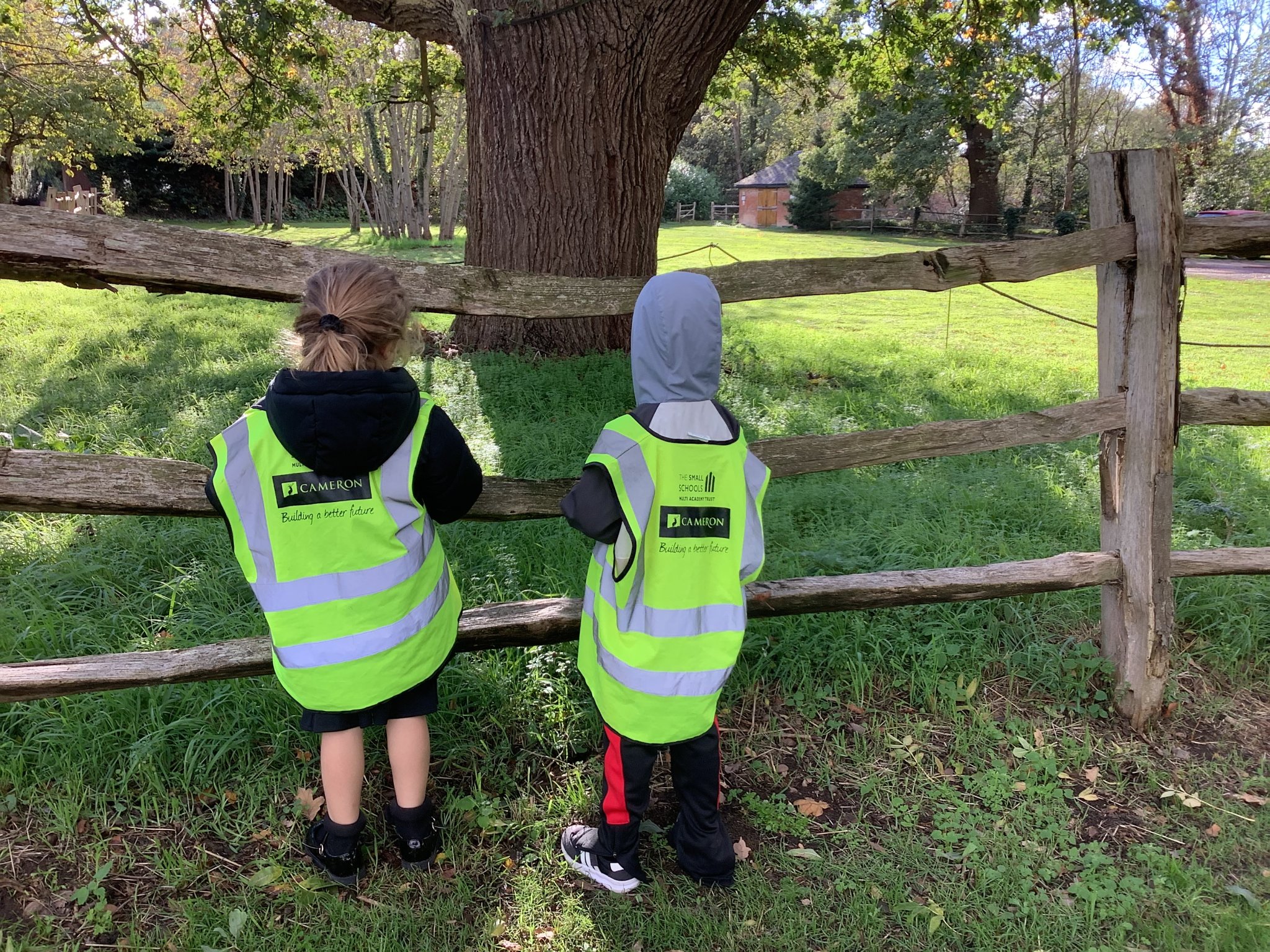 Image of Spotting signs of Autumn in our local area
