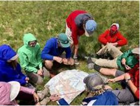 Image of Class 3 (Year 5 and 6) Trip to Birches Valley, Cannock Chase