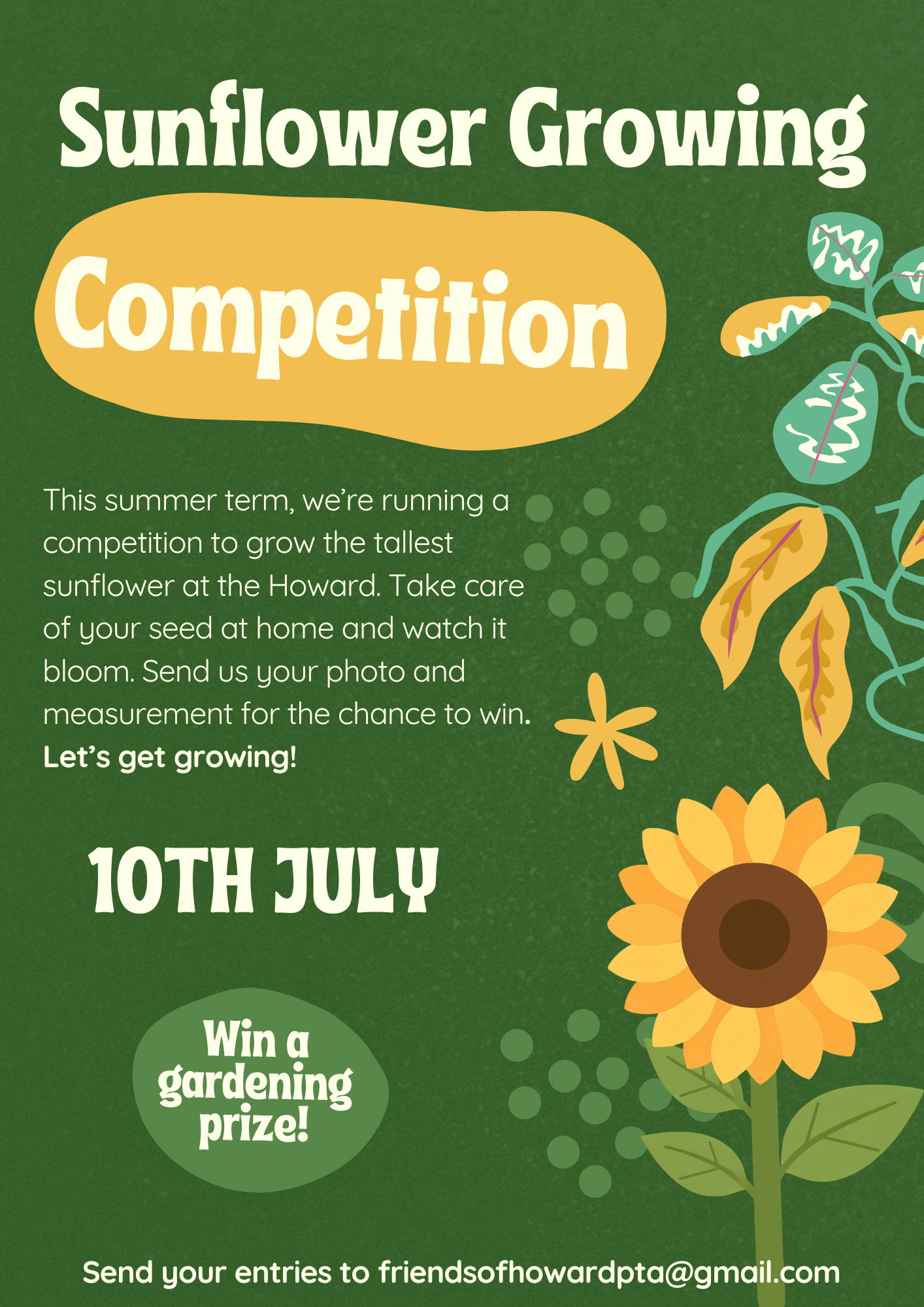 Image of Sunflower Growing Competition ! 