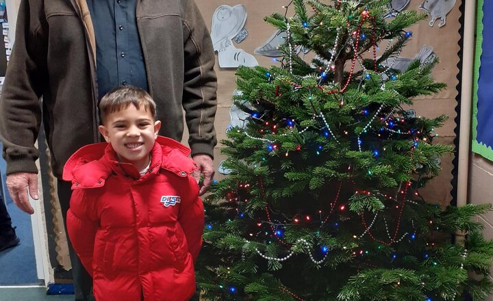 Image of Our Christmas Tree