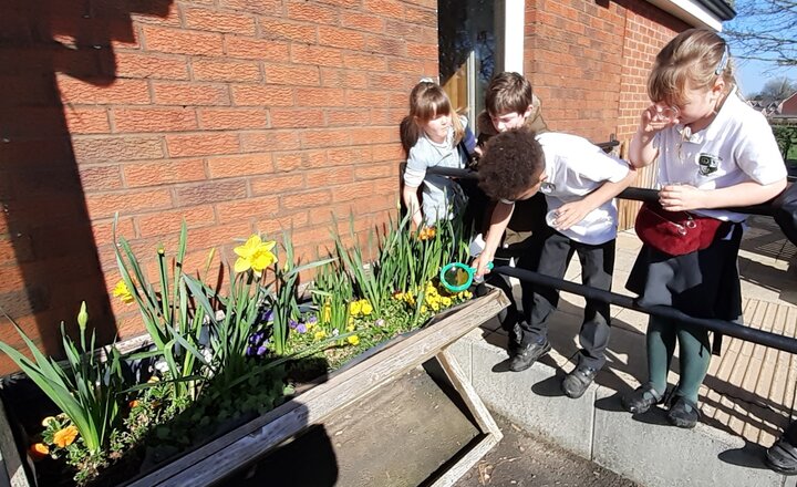 Image of Non-Uniform Day