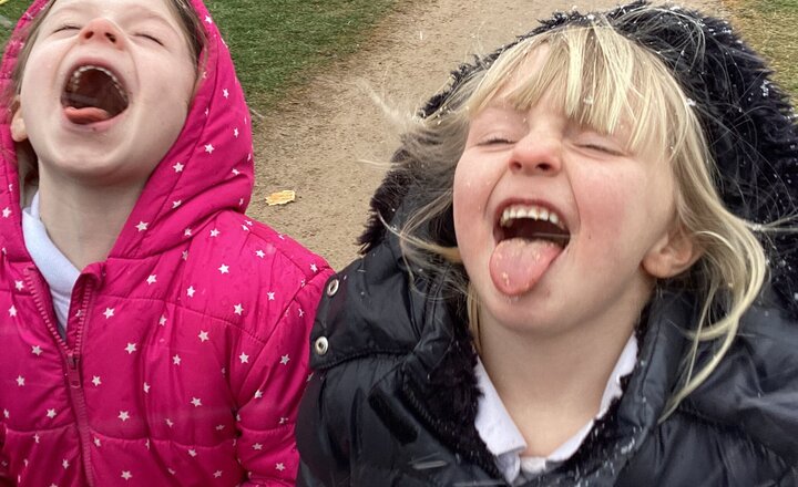 Image of It’s Snowing!!!