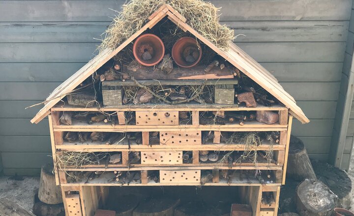 Image of Our new bug hotel