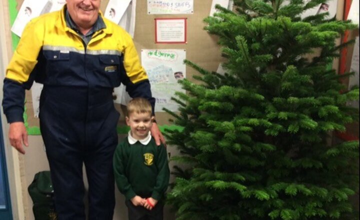 Image of The Christmas Tree Has Arrived!