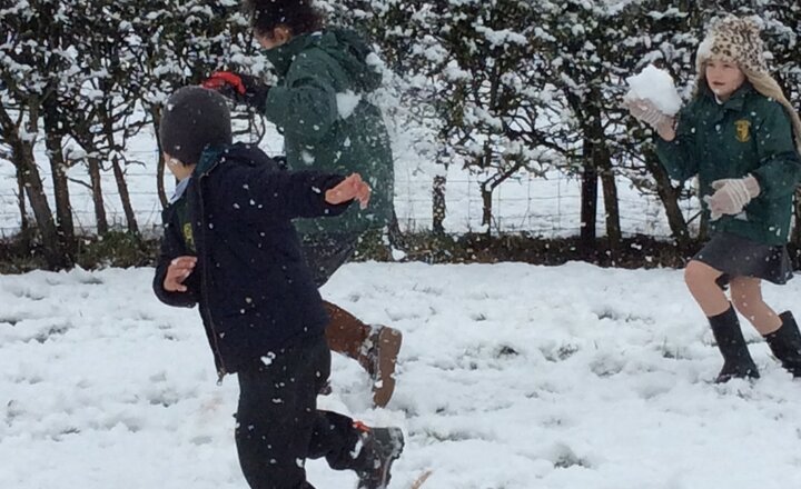 Image of Snowy Day!