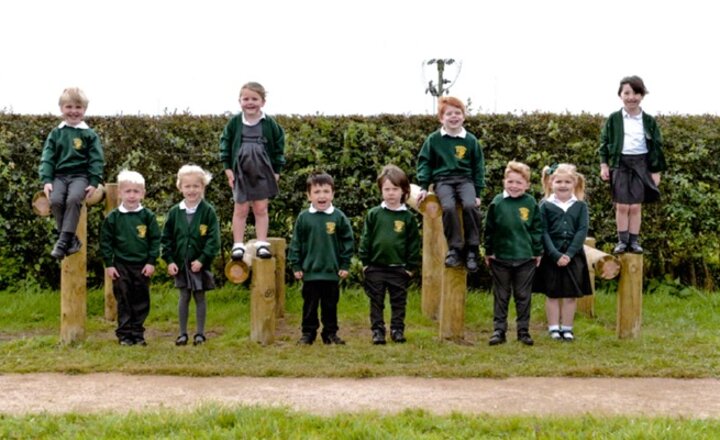 Image of This week's Newsletter!