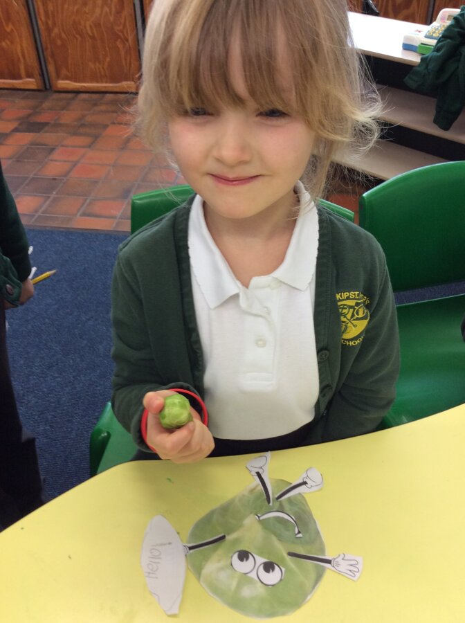 sprout-boy-adjectives-inskip-st-peter-s-c-of-e-aided-primary-school