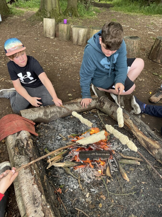 Year 6’s visit to Humblescough Farm | Inskip St Peter's C of E (Aided ...