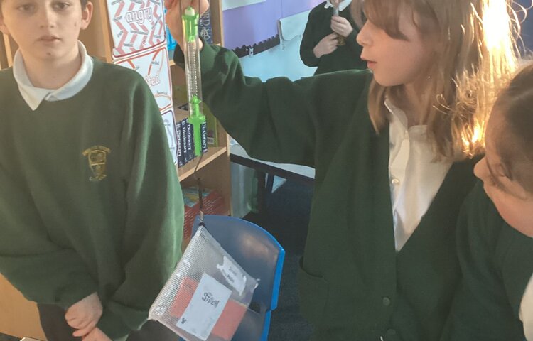 Image of Science-The Force of Gravity