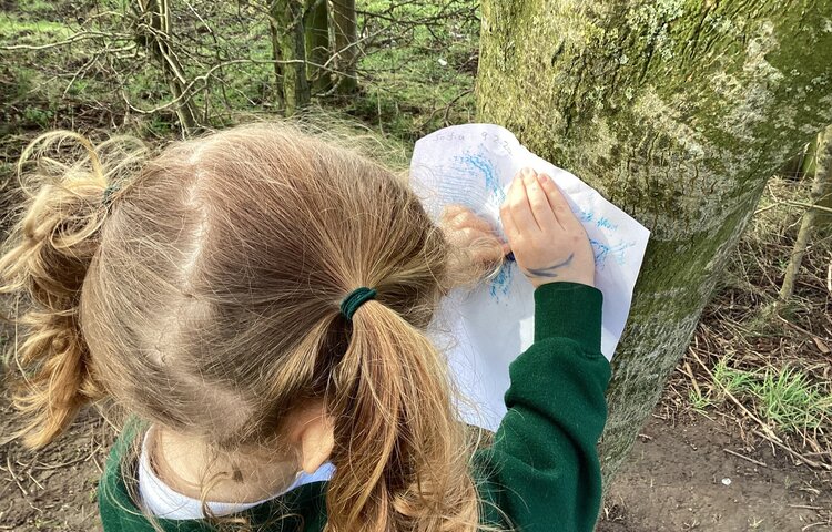 Image of Marvellous Marks