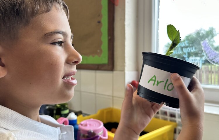 Image of Time to take our plants home