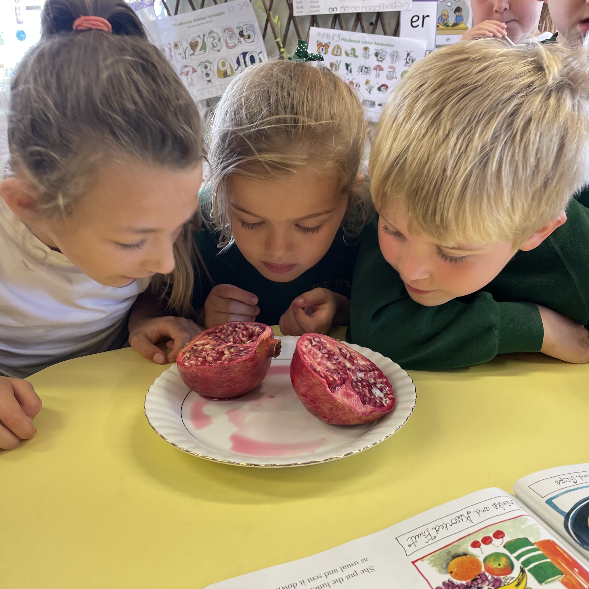 Image of Pomegranate tasting!