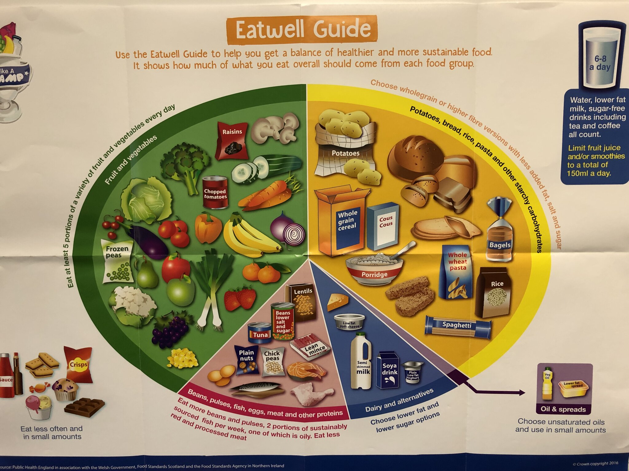 Image of Science -Eat Like a Champ!