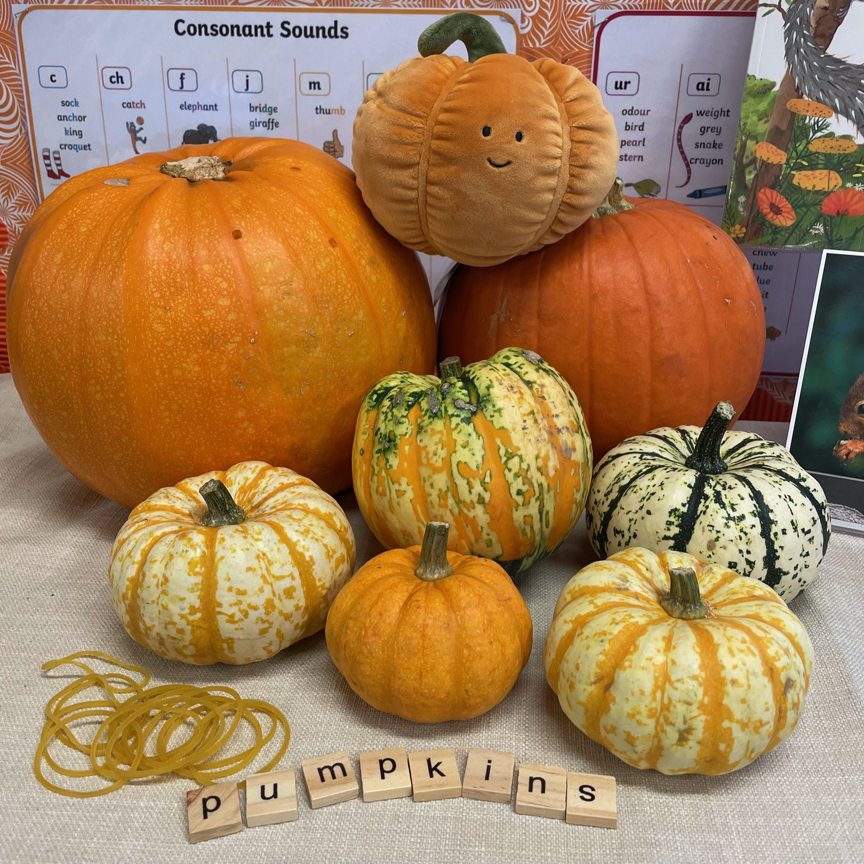 Image of Pumpkin Patch