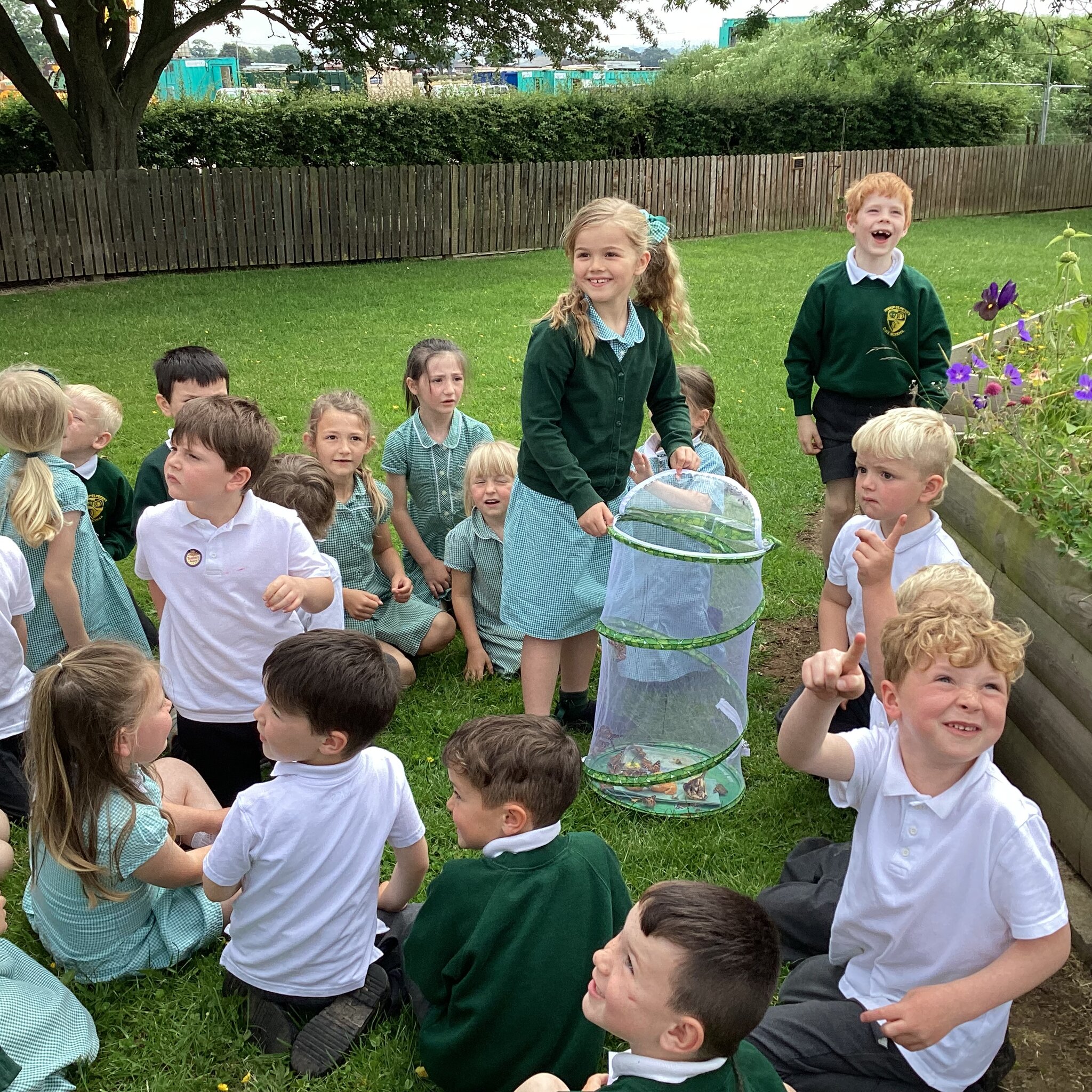 Image of Releasing the butterflies