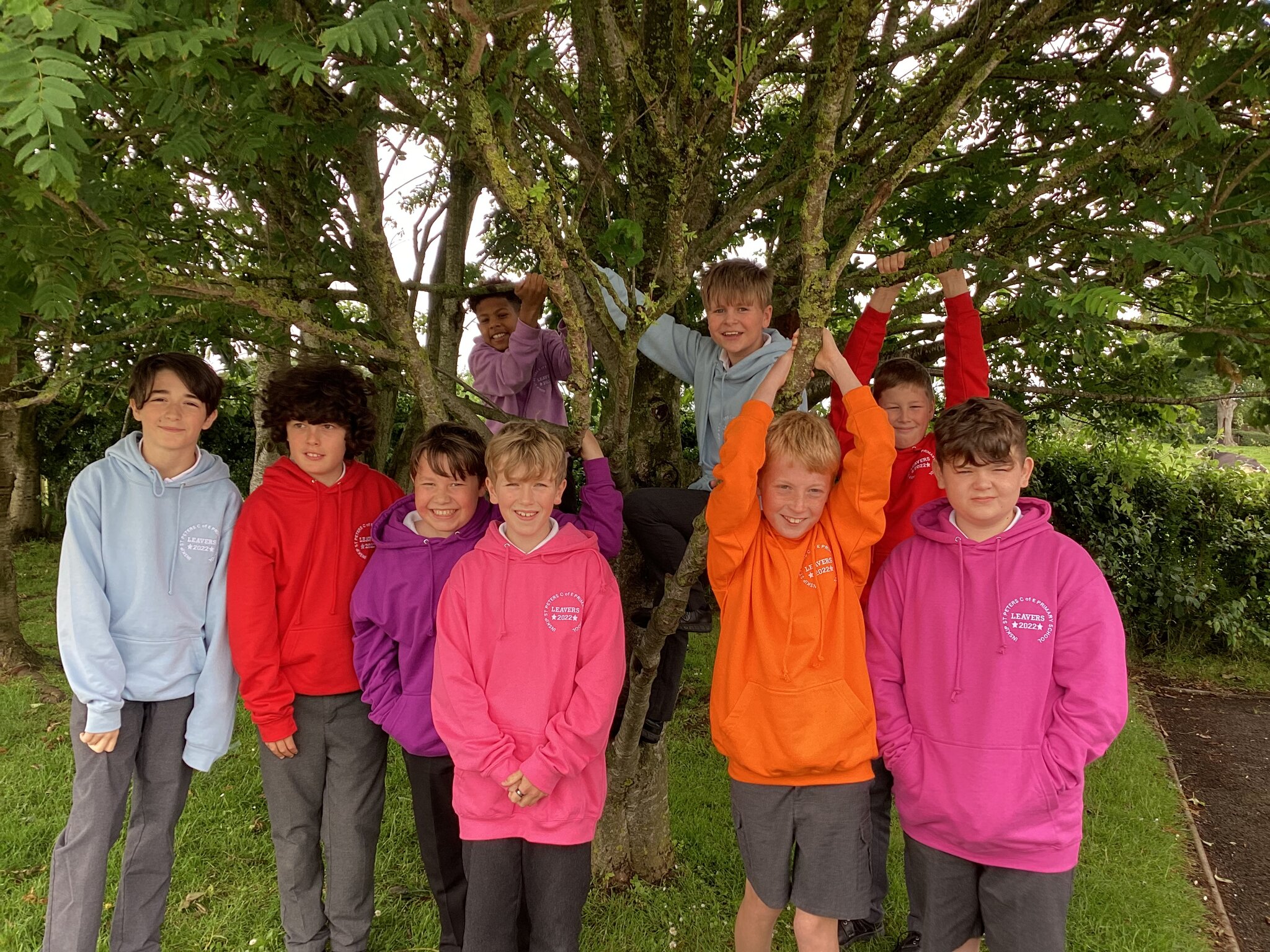 Image of Year 6 Hoodies