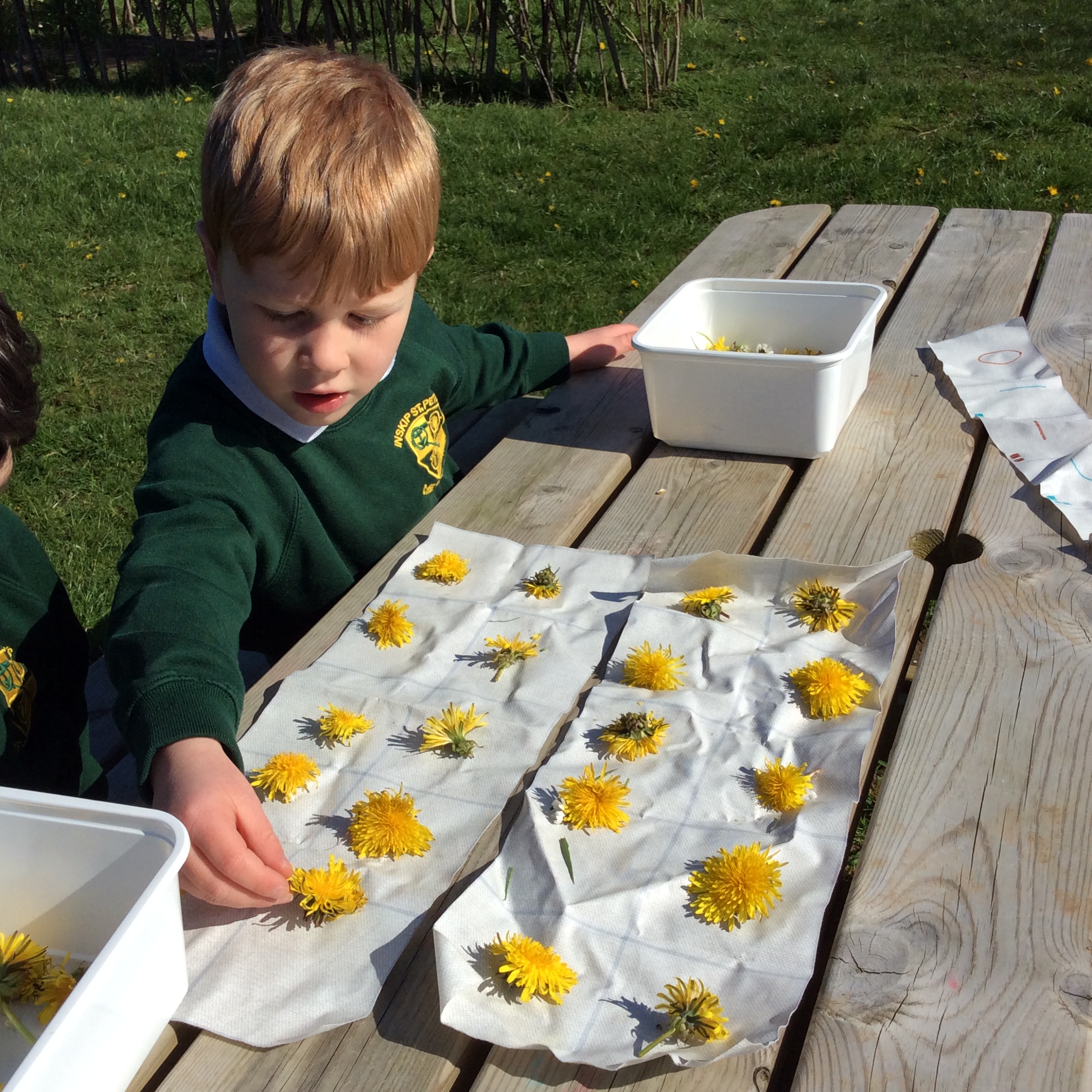 Image of Outdoor counting