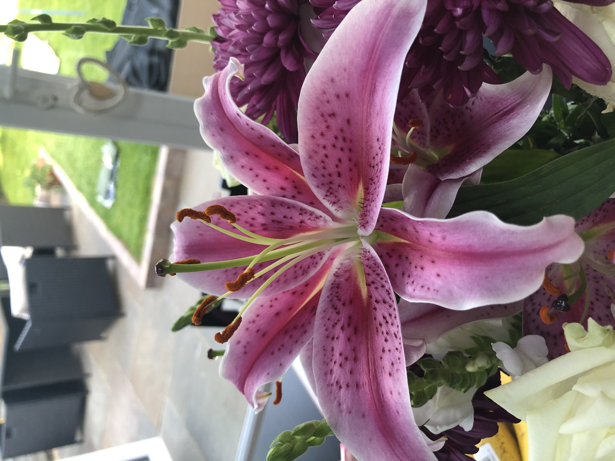 Image of Dissecting Flowers