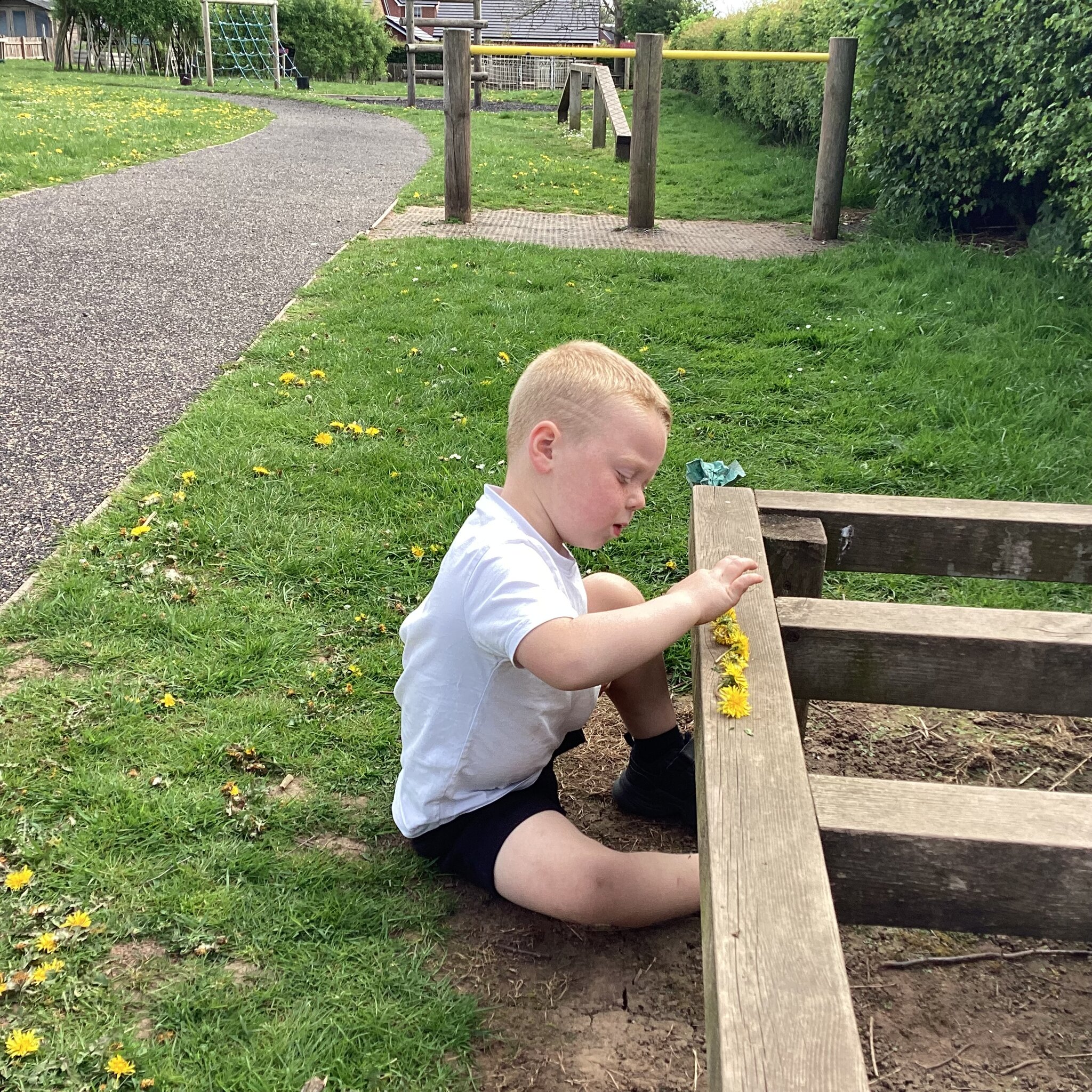 Image of Counting Fun