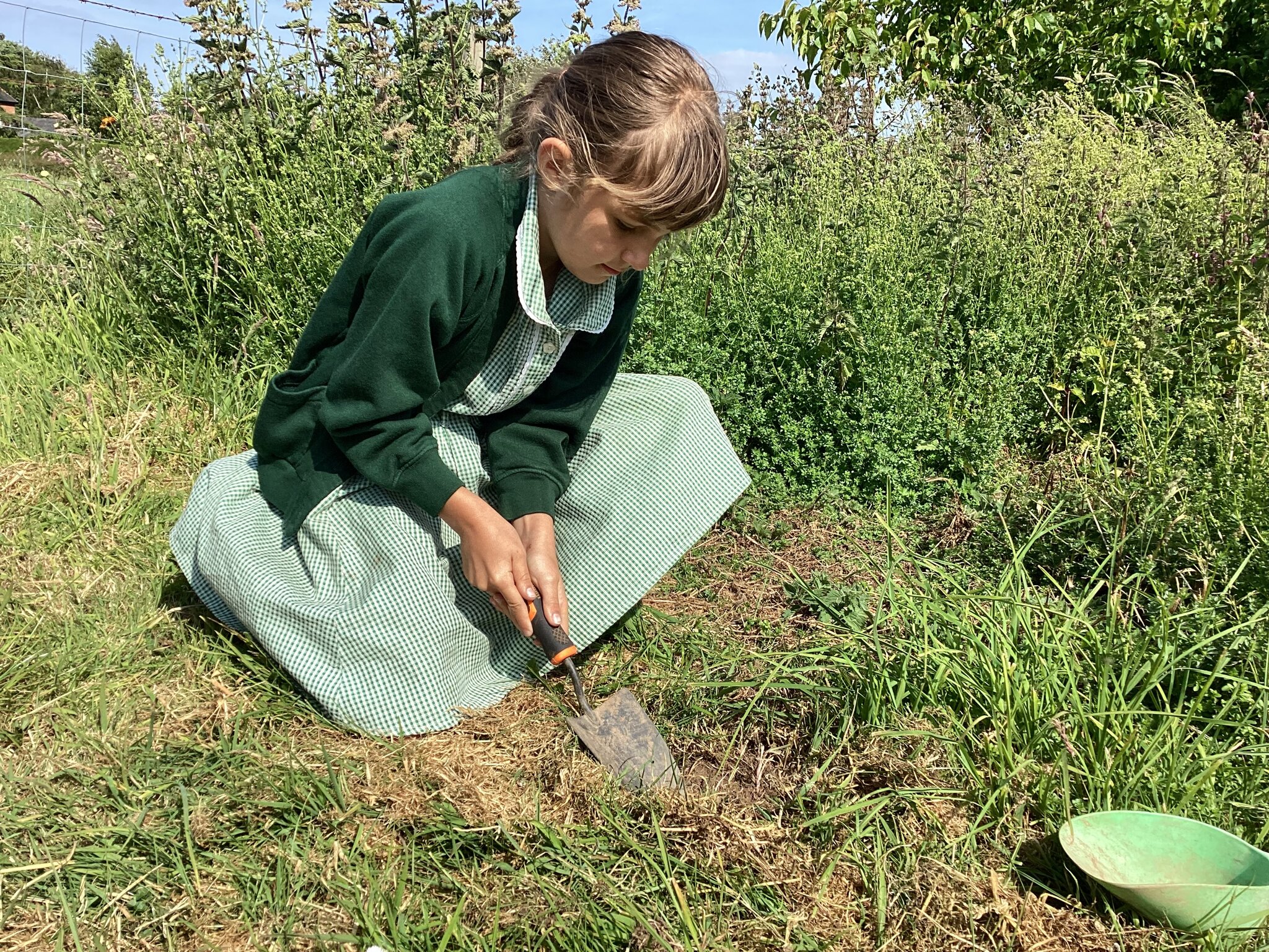 Image of Planting Wildflowers