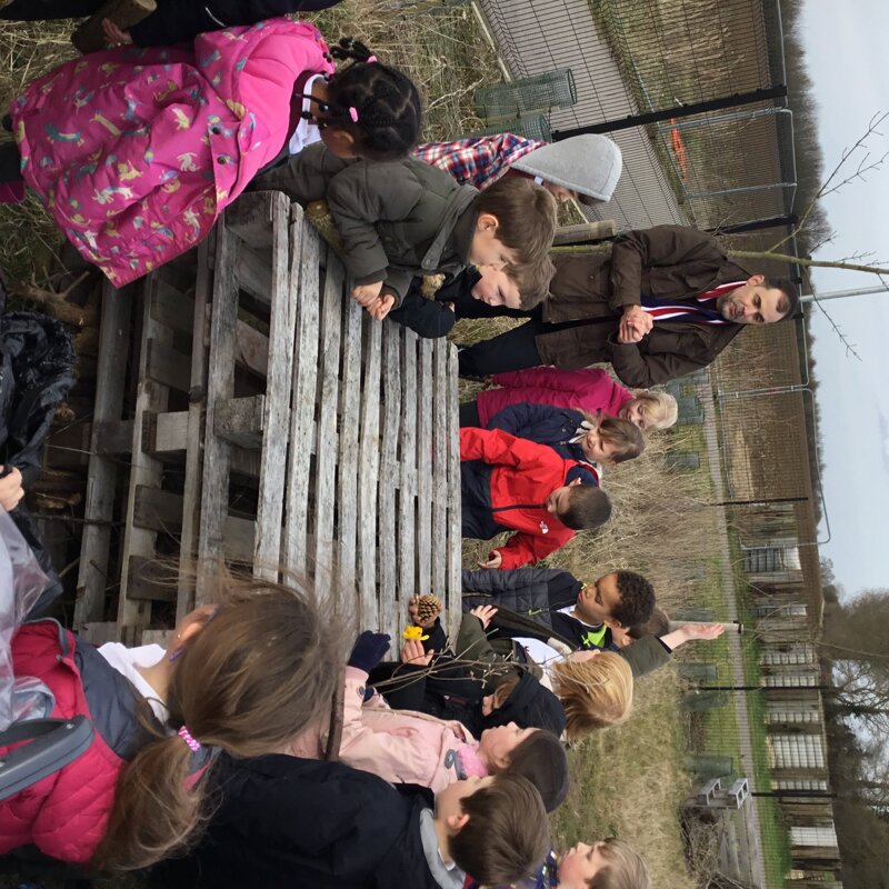 Image of Spider's Bug Hotel