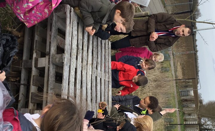 Image of Spider's Bug Hotel