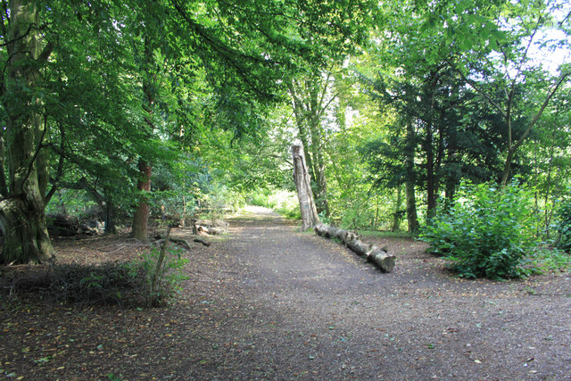 Image of Trip to Hinchingbrooke Country Park