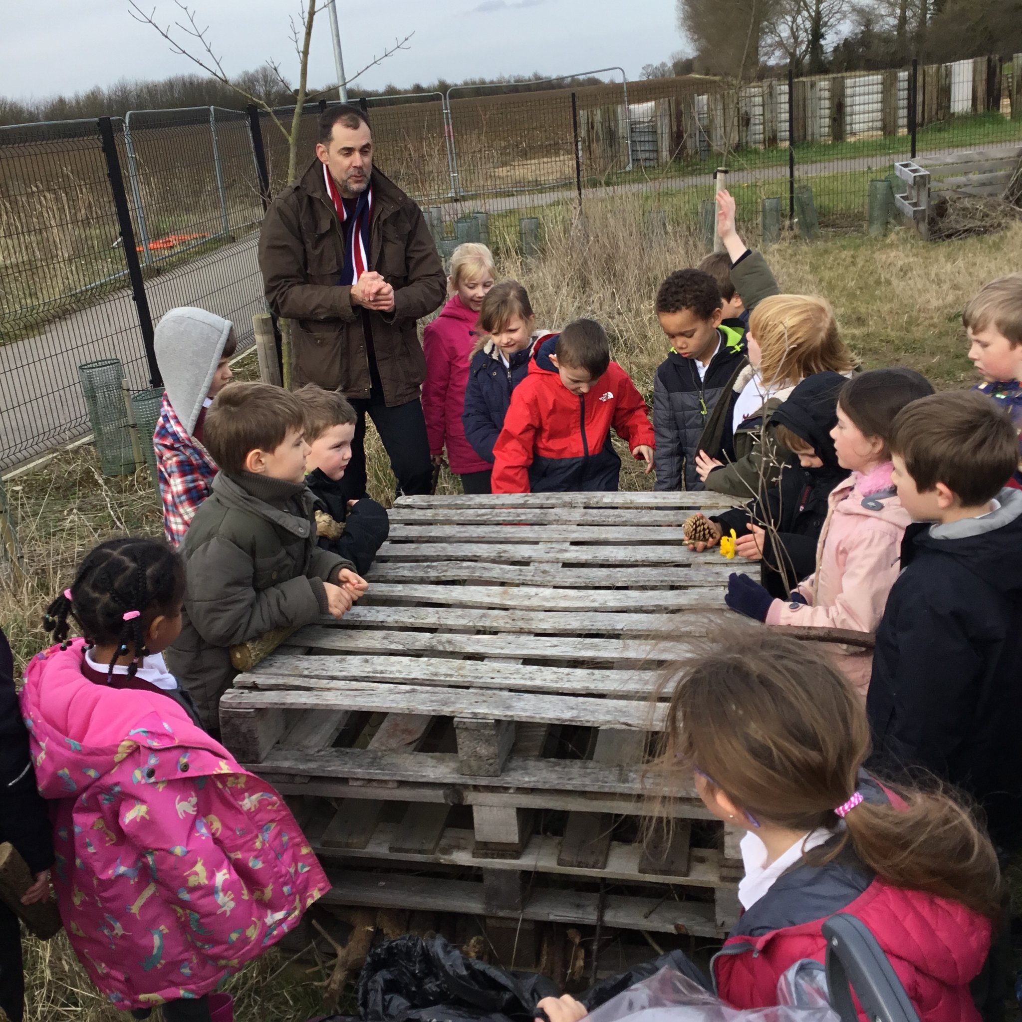 Image of Spider's Bug Hotel