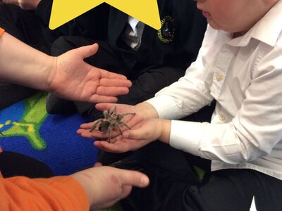 Image of Minibeasts visit Reception