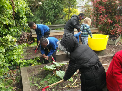 Image of School Gardening