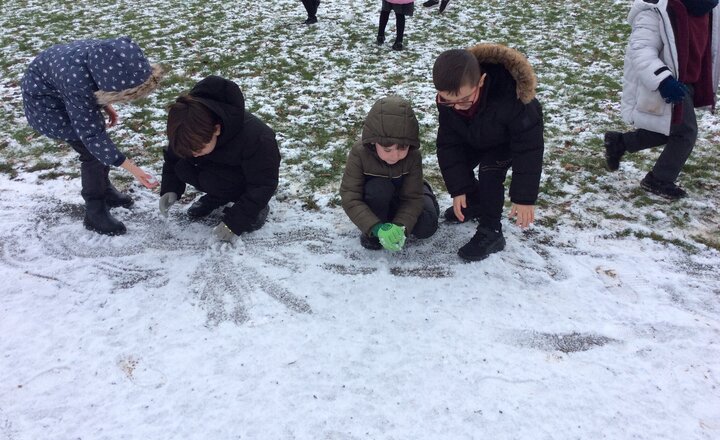 Image of Newsletter Issue 15 - 9th January