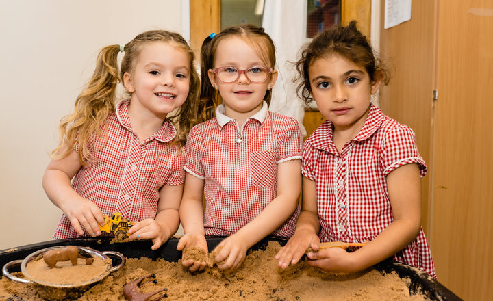 Image of Newsletter Issue 17 - 23rd January