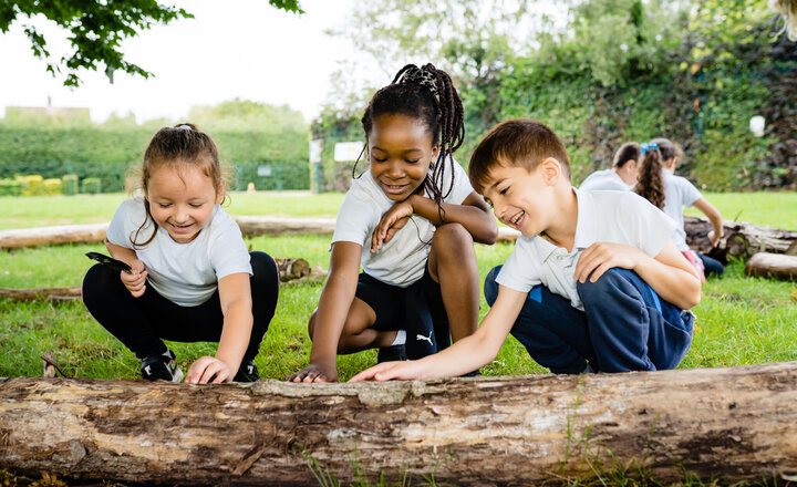 Image of Newsletter Issue 25 - 27th March