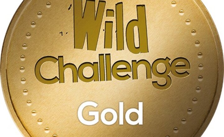 Image of Wild Challenge Award - GOLD!