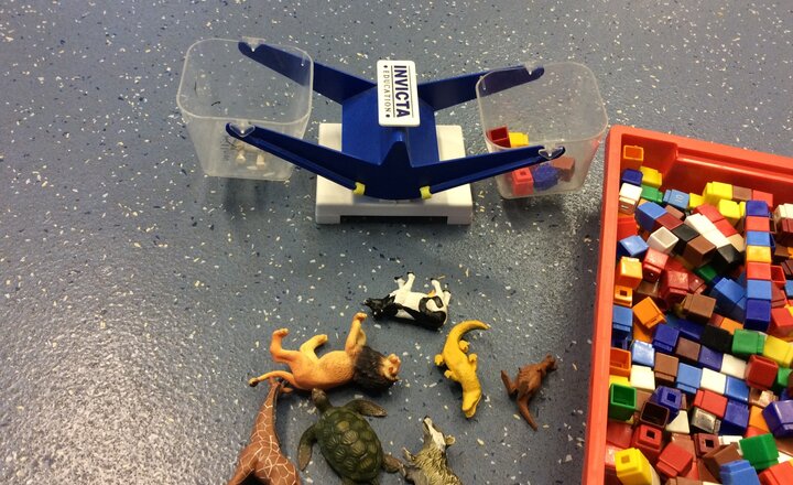 Image of Exploring weight in Oak Class
