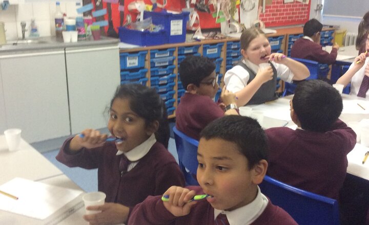 Image of Year 4 Explore Teeth