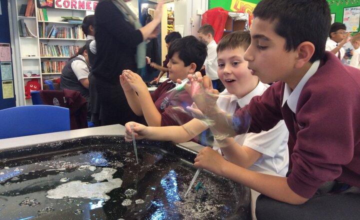 Image of Year 6 Investigates