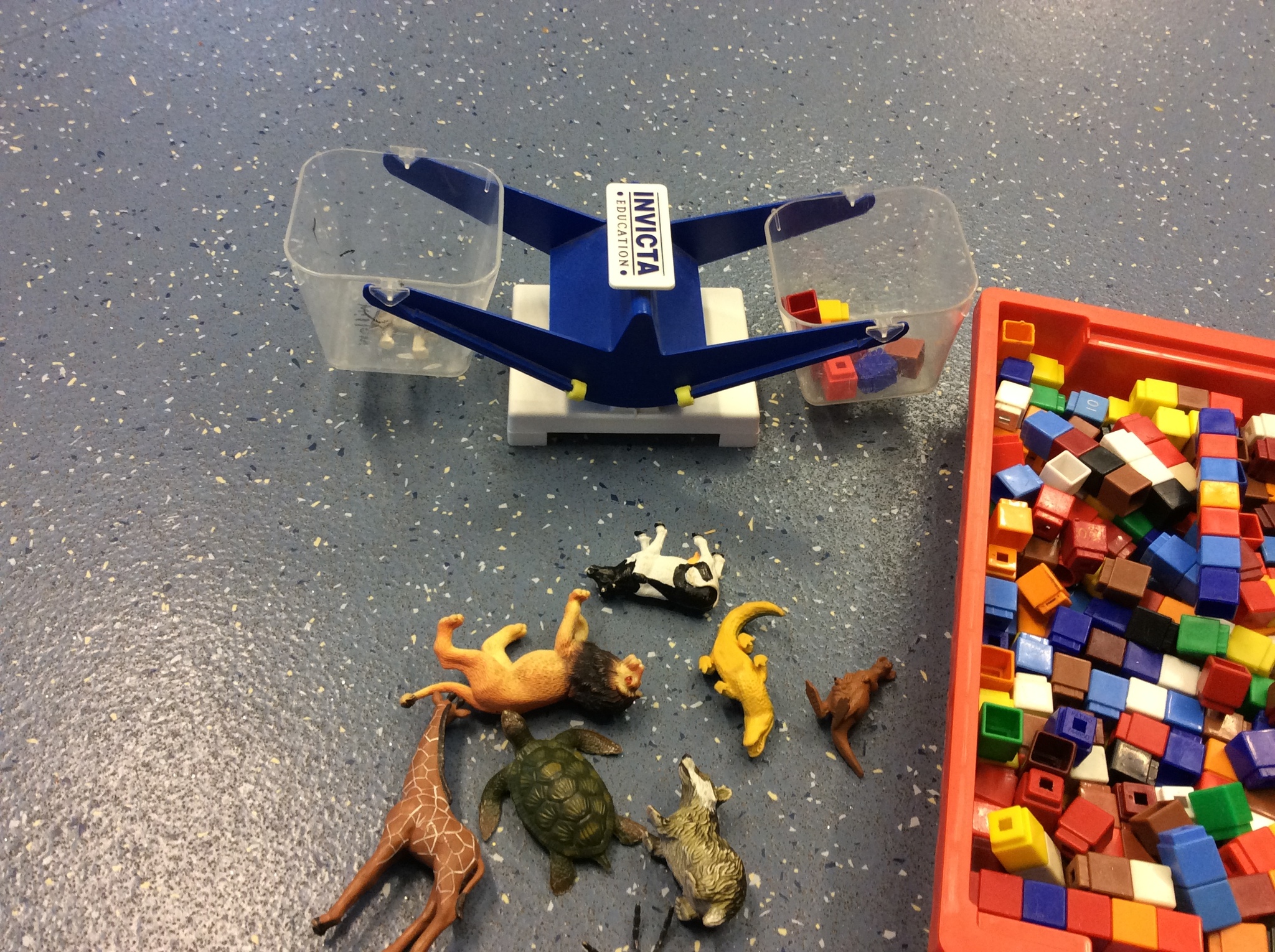 Image of Exploring weight in Oak Class