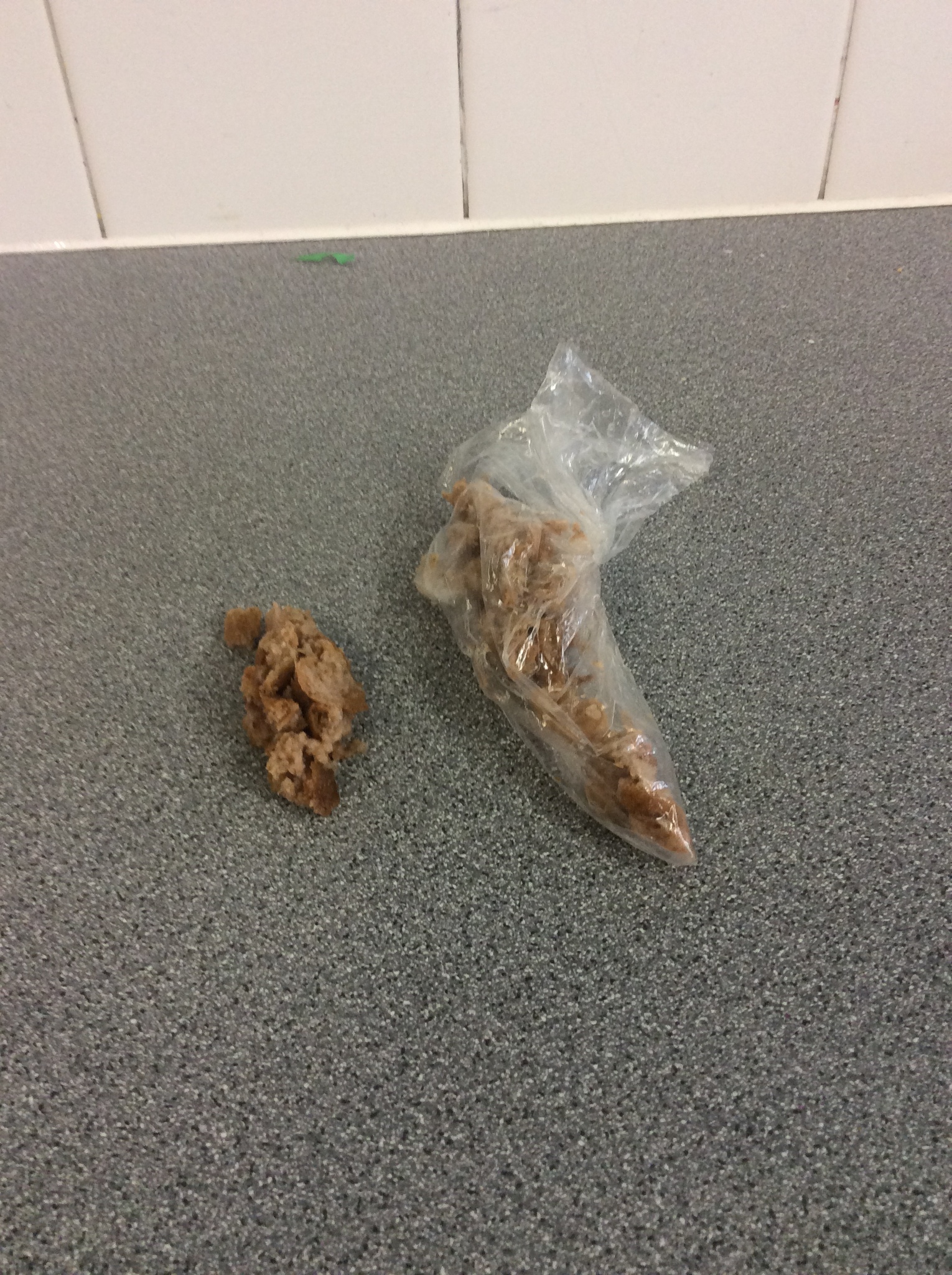 Image of Y4 investigate the digestive system