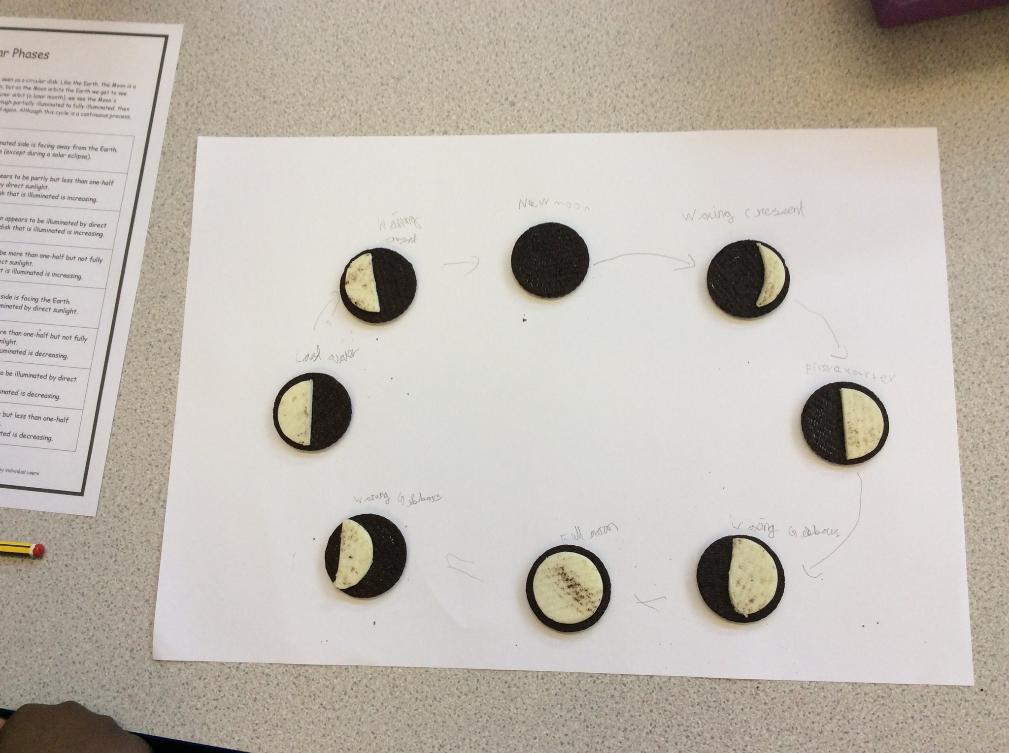 Image of Year 5 Phases of the Moon