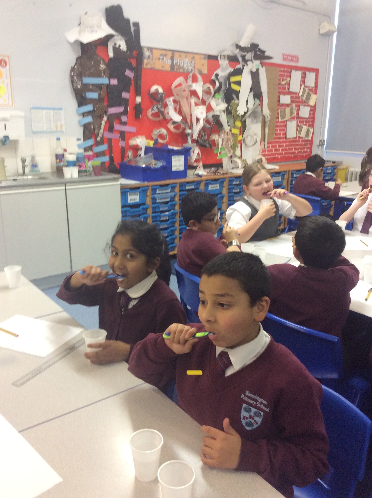 Image of Year 4 Explore Teeth